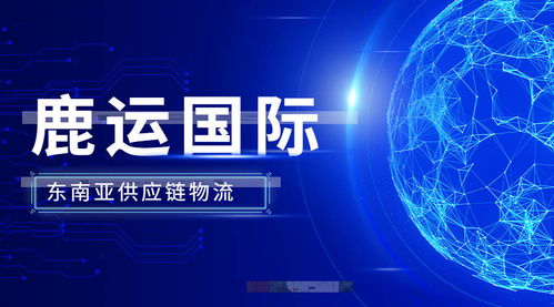 全球供應(yīng)鏈變革 數(shù)字技術(shù)為外貿(mào)服務(wù)注入新動能